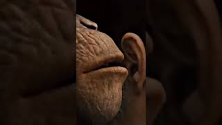 Download lagu Belum Gajian Meme mp3