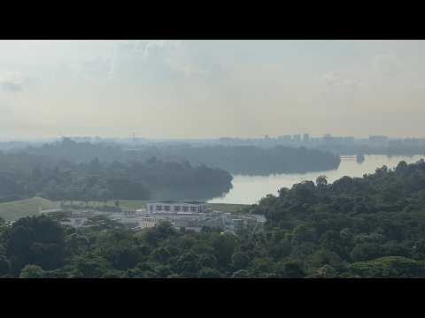 Eco Sanctuary, 63 Chestnut Avenue, 3 Bedrooms, 980 sqft, Condominium For Rent, by Joseph Tan 陈嘉闻, 500193493 - PropertyGuru.com.sg