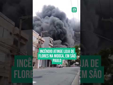 Incêndio atinge loja de flores na Mooca, em São Paulo 