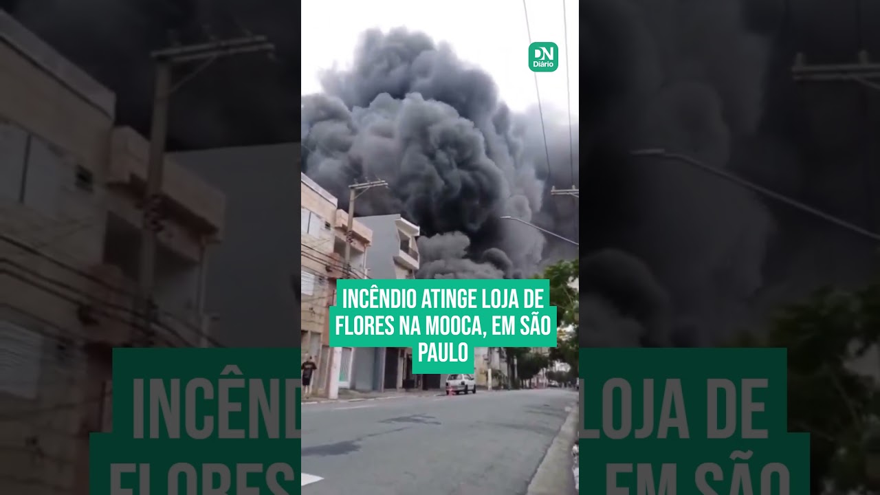 Imagem da notícia Incêndio atinge loja de flores na Mooca, em São Paulo 