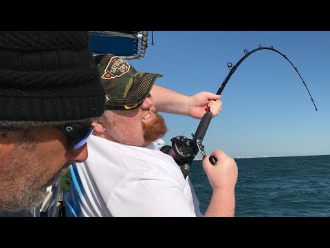 Hammerheads on the hook Shark Fishing Ponce Inlet! 2022