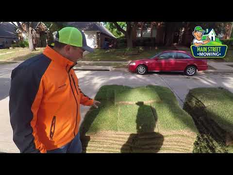 download lagu mp3 mp4 Grass Farms In Texas, download lagu Grass Farms In Texas gratis, unduh video klip Grass Farms In Texas