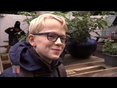 Dresdner Kreuzchor: Unter jungen Talenten | MDR 29.11.2018