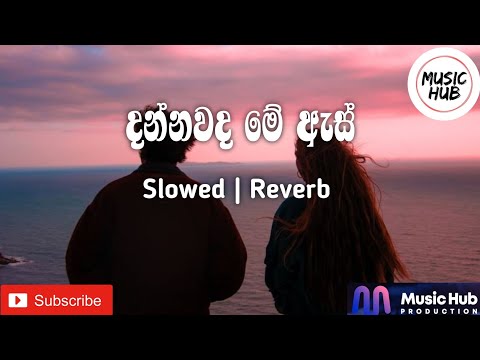 Dannawada Me As | දන්නවද මේ ඇස් | Slowed | Reverb