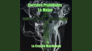 La Cruz de Marihuana