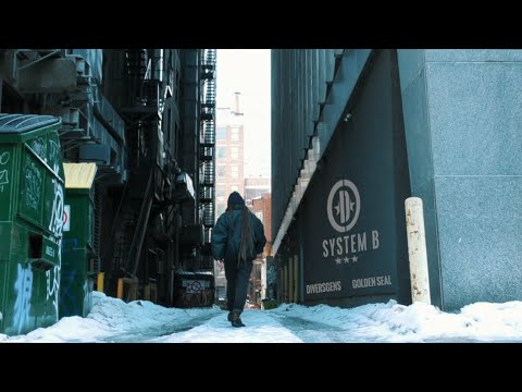 DIVERSGENS X GOLDEN SEAL - System B (Official Video)