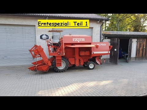 FarmVlog vom "gla Gartenthoma" #159 Weizenernte 2019 Spezial/Teil 1