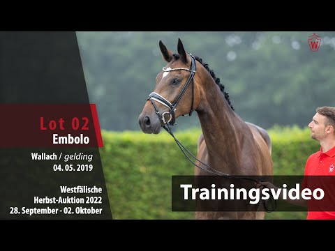 Herbst-Auktion Training Lot 2 Embolo Wallach v. Escamillo - Detroit