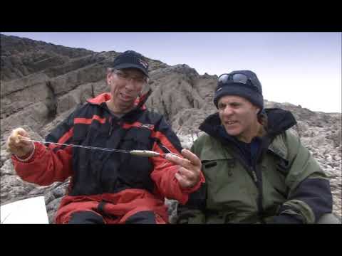 Catch More Fish With Experts with Alan Yates & Matt Hayes UK Promotional DVD (2011-12, FULL!)