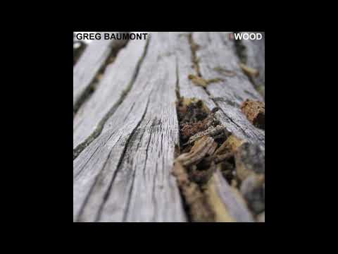 Greg Baumont - Wood - Why (trance remix by Ilya Malyuev)