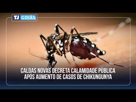 CALDAS NOVAS DECRETA CALAMIDADE PÚBLICA APÓS AUMENTO DE CASOS DE CHIKUNGUNYA