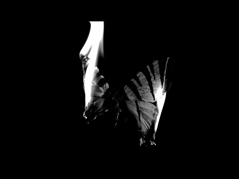 Achille Lauro - Perdutamente on Spotify Charts