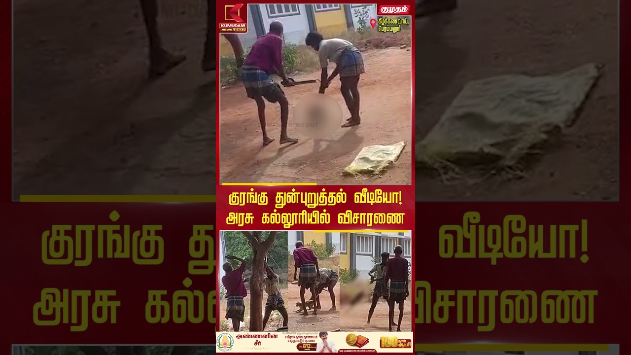 குரங்கு துன்புறுத்தல் வீடியோ! அரசு கல்லூரியில் விசாரணை Perambalur | Monkey | Kumudam News #shorts குரங்கு துன்புறுத்தல் வீடியோ! அரசு கல்லூரியில் விசாரணை Perambalur | Monkey | Kumudam News #shorts