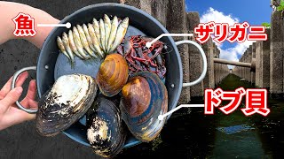 ドブの食材だけでパエリア作ってみた