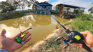 Download lagu Umpan Ini BERJAYA Memikat Banyak Haruan! mp3