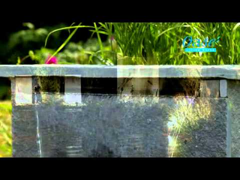 Watch Video on YouTube