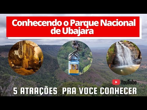 5 atrações  do parque nacional de ubajara Ceará, desfrute dessas beleza no sertão cearense 