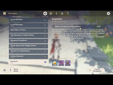 Snapshots - Deliver the Picture to the Customer | Genshin Impact [2K]