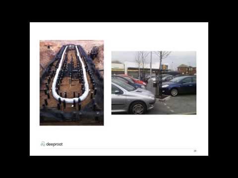 Partners in Project Green Webinar Series: Suspended Pavement Systems & Stormwater Management