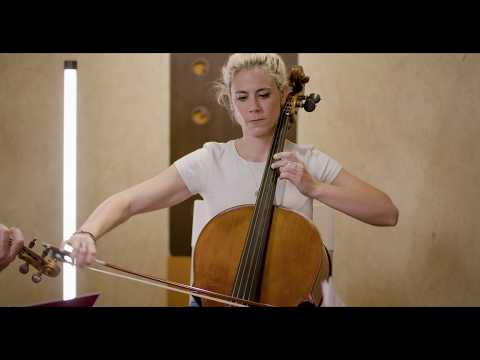 Violin - Celtas Cortos