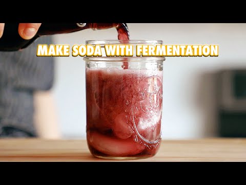Make a Soda Out of Anything With Fermentation