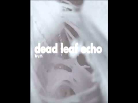 Dead Leaf Echo- 