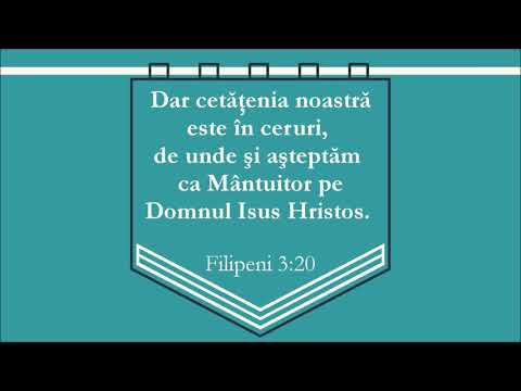 Beni Cibu & grupul bărbătesc Vicov - Ierusalim, cetatea mea