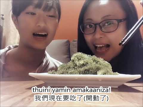 《邵族媳婦兒美食開箱》─ 海葡萄初體驗！