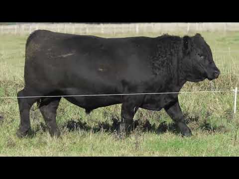 Lot 8 DANDALEITH PENE 178