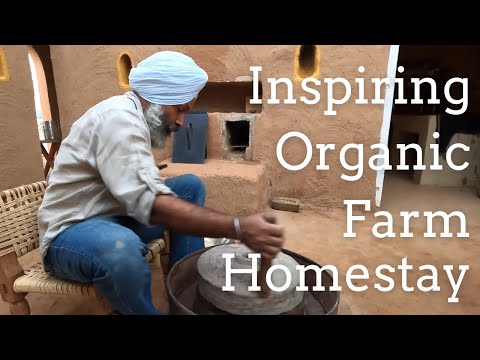 How This Indian Farmer Create His Dream: ft Sustainable Living with Navroop Singh