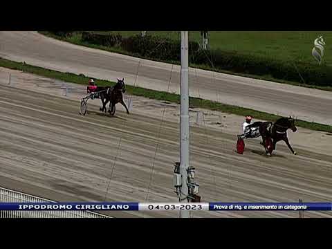 Aversa trotto 4 Marzo 2023 - Prova di riqualifica e inserimento in categoria