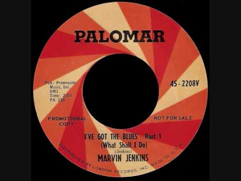 Marvin Jenkins - I've got the blues