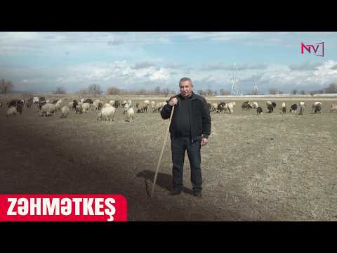 ZƏHMƏTKEŞ 19.03.2026