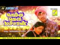 THENNAMARA THOPPUKULLA THERKU THERU MACHAN SPB S JANAKI SATHYARAJ VIJAY MUSICALS