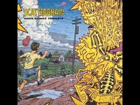 Scatterbrain - I'm with stupid