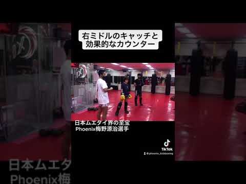 右ミドルのキャッチと効果的なカウンター【梅野源治選手解説】