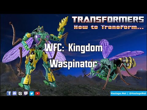 Transformers Kingdom Deluxe Waspinator