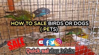How to sale birds or dogs (pets) quickly | quick saleing trick | kannada |