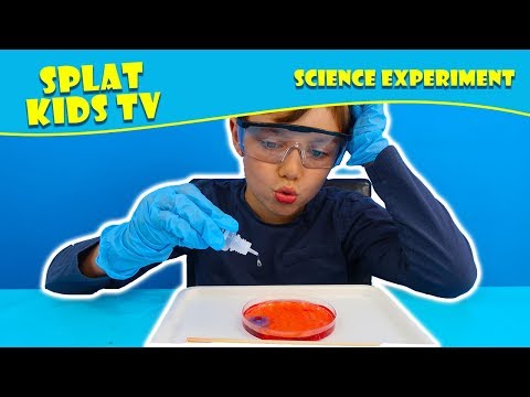 MELSCIENCE Colorful Chemistry - Acidic Patterns Experiment