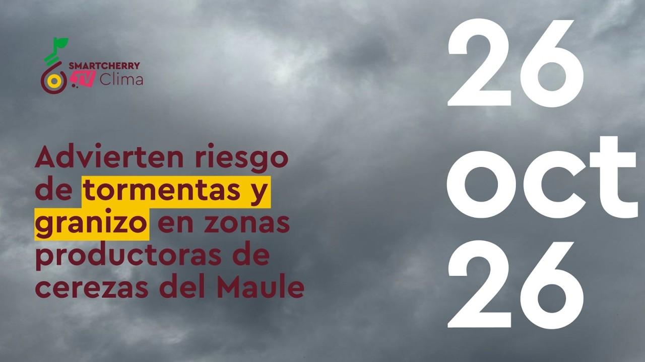 Alerta agroclimática en el Maule: Posibles tormentas eléctricas y granizadas amenazan a los cerezos