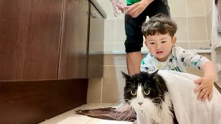 初めて猫のお風呂を手伝った3歳児、最後にまさかの一言…