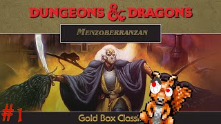 Menzoberranzan (Session 1.1)