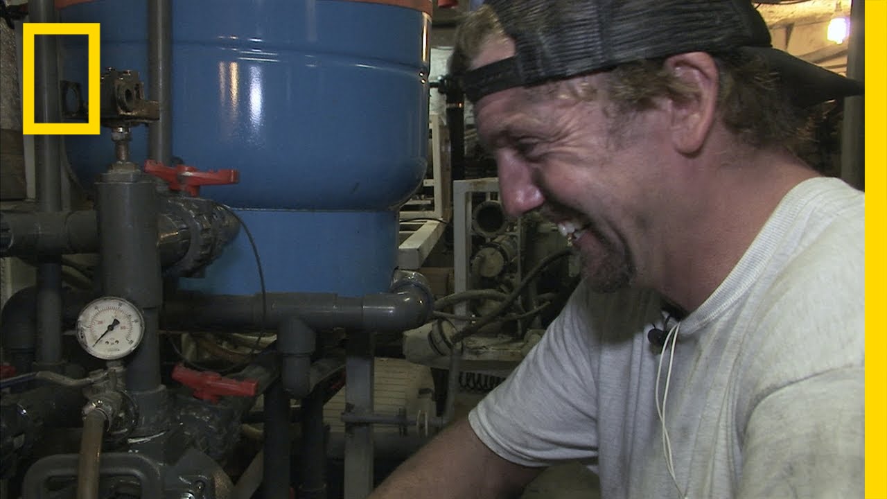 Electric Troubles | Shark Men