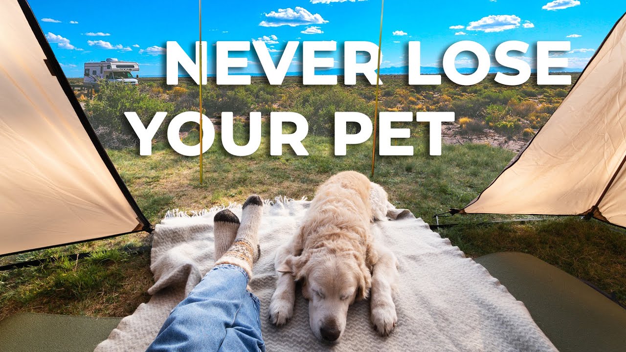 How NOT to Lose Your Pet on a Camping Trip (8 Pro Tips)