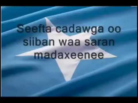 Wa Gobey qofkasta oo Somali ah dhiiga dhaqaajinayo