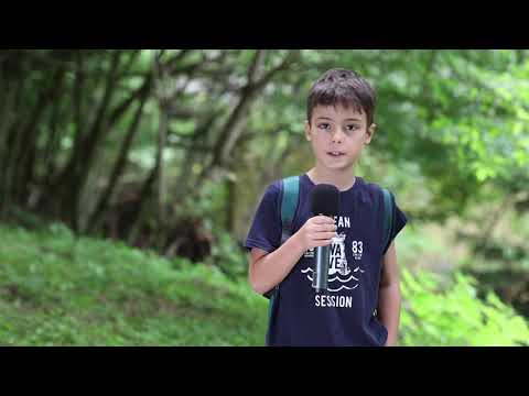 Buletin Meteo din Tabara TV - Eric Vochin