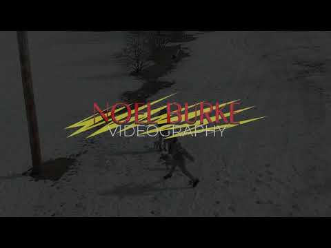 NoelyDrone - Milford, CT   Eisenhower Park Dog Romp