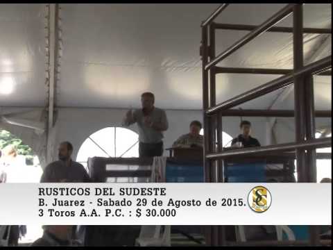 29-08-15 Ventas de Toros P.C. - Rústicos del Sudeste - B. Juarez.