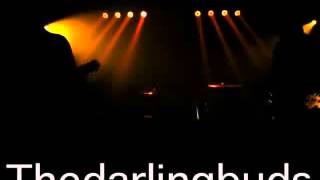 The Darling Buds mit Come Home