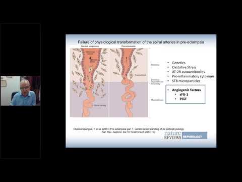 ANSC Hypertension Update 13 October, 2020